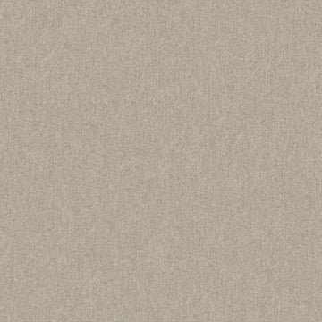 Braveheart - Chinchilla