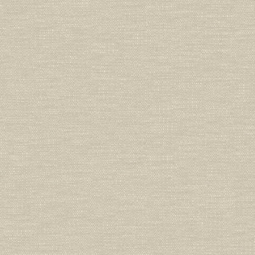 Colourwash - Ecru