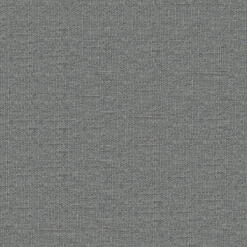 Cyborg - Pewter