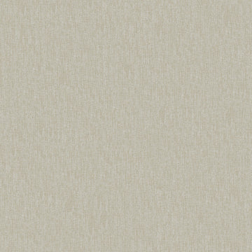 Fellow - Pelican