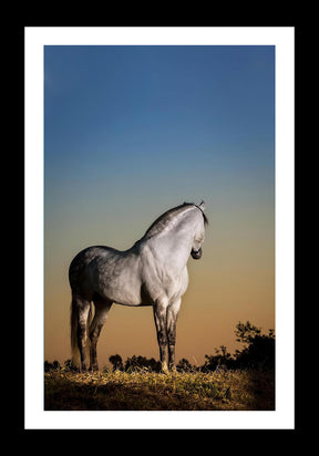 DARKNESS FALLING - EQUESTRIAN CANVAS WALL ART