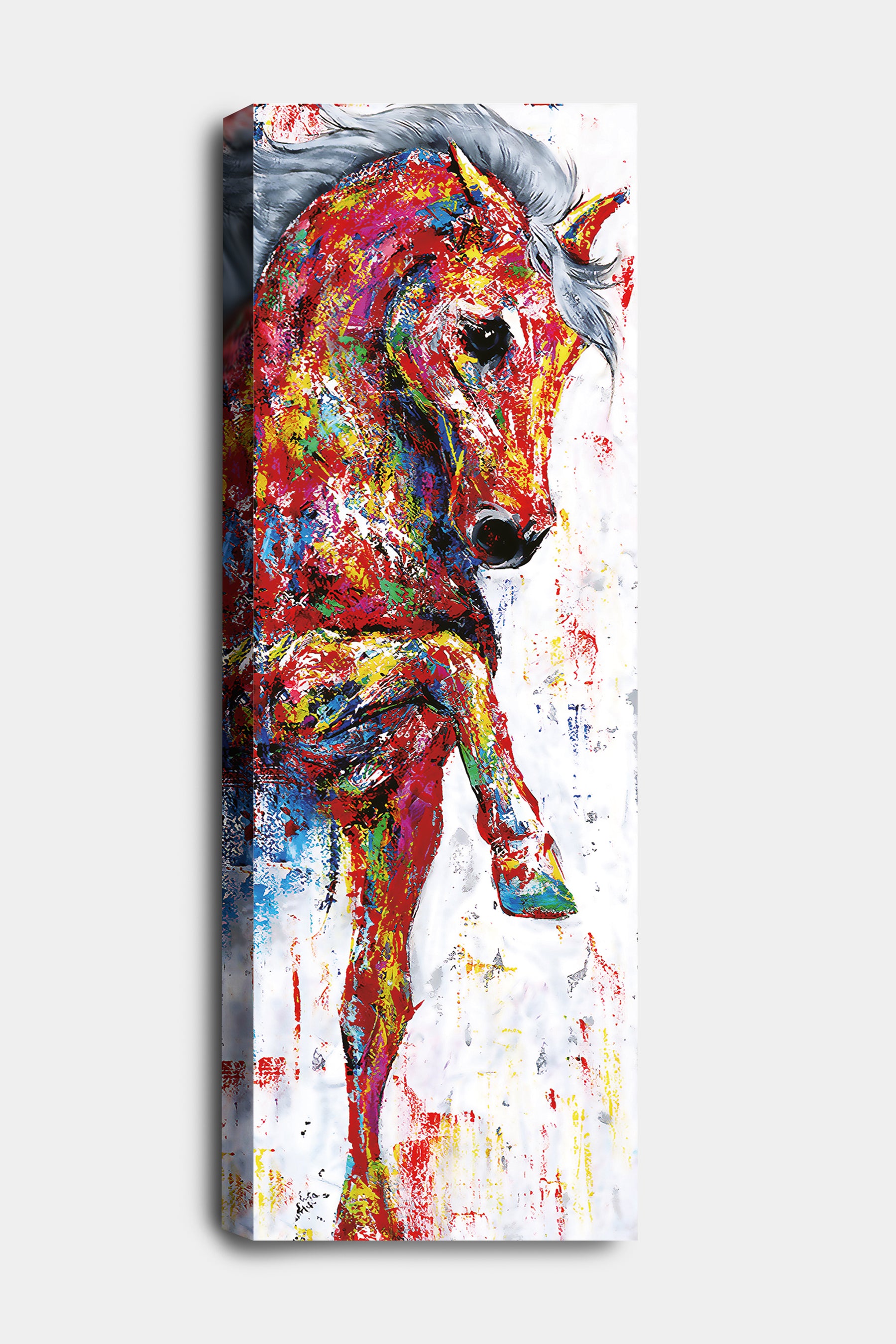 RAINBOW HORSE 1 OF 2 - CANVAS WALL ART